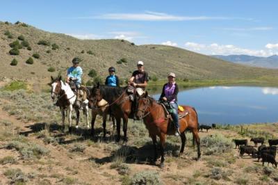 Horseback Riding & Tours in Buena Vista